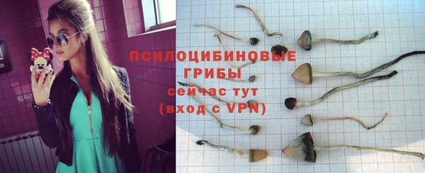 эйфоретик Волоколамск
