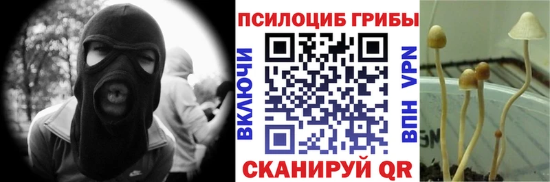 Псилоцибиновые грибы Psilocybine cubensis  наркошоп  Екатеринбург 