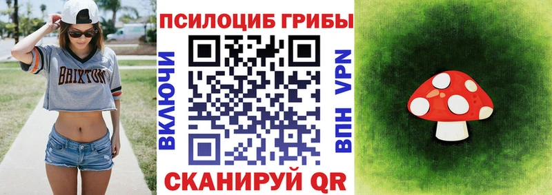 Псилоцибиновые грибы Psilocybe Екатеринбург